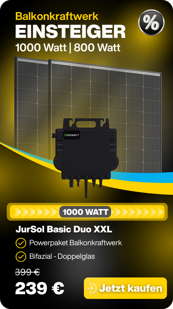 Balkonkraftwerk 1000 Watt 800 Watt Trina Vertex Doppelglas Solarmodule  Growatt Neo